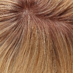 Color Peluca 27t613s8hh